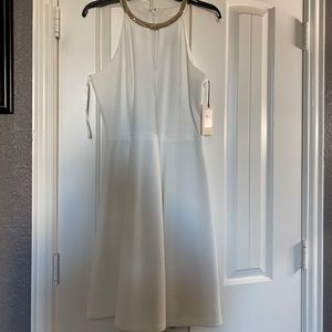 New Ivanka Trump Dress